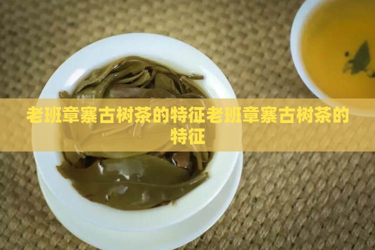 老班章寨古树茶的特征