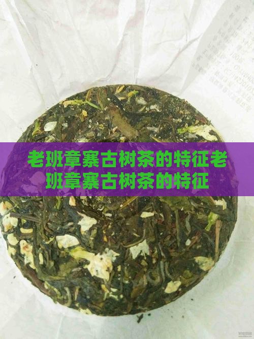 老班章寨古树茶的特征