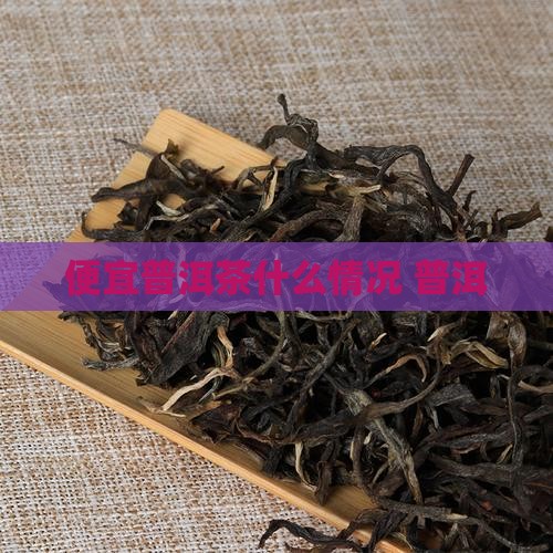 便宜普洱茶什么情况