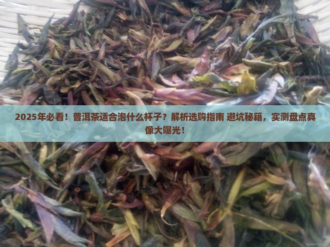 普洱茶适合泡什么杯子