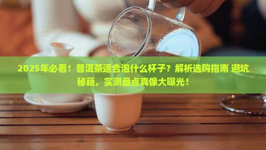 普洱茶适合泡什么杯子
