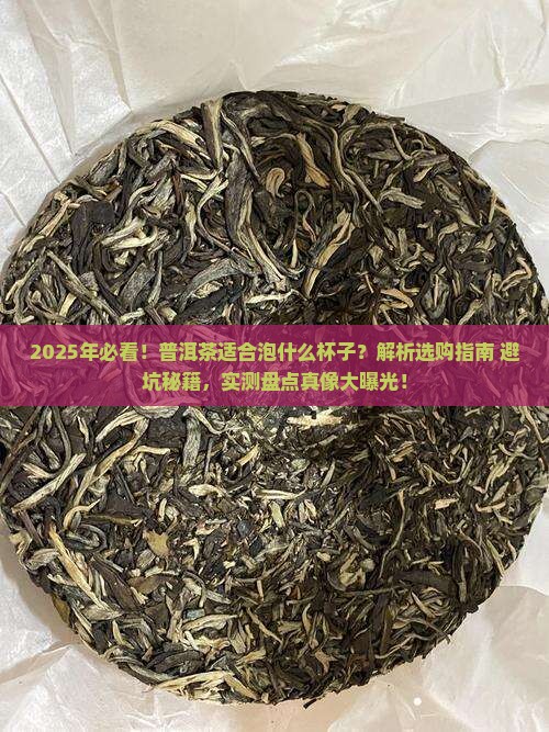 普洱茶适合泡什么杯子