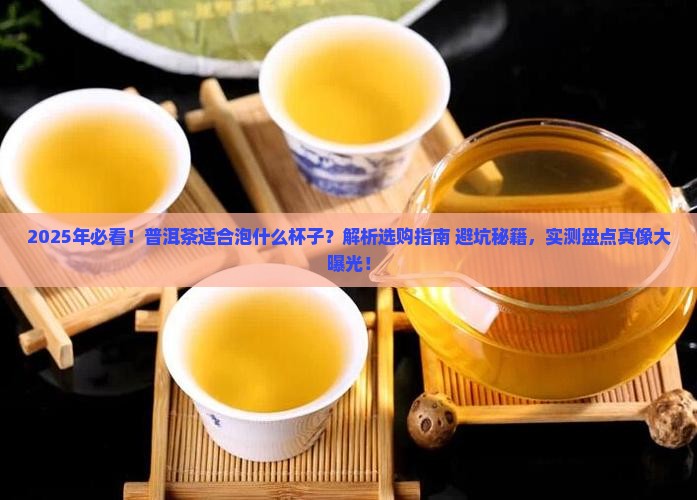 普洱茶适合泡什么杯子