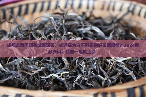 成都龙和国际茶城普洱茶