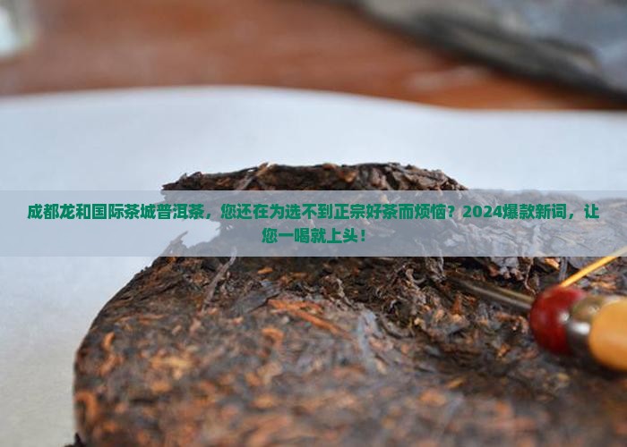 成都龙和国际茶城普洱茶