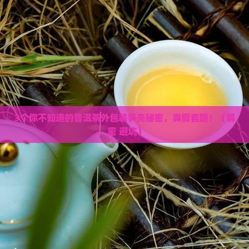 普洱茶外包装笋壳是什么