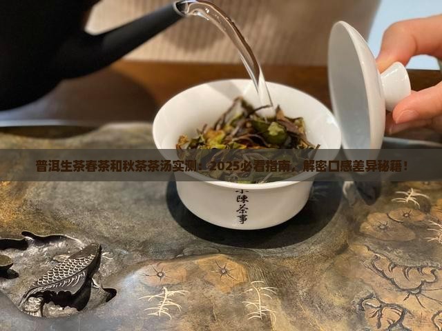 普洱生茶春茶和秋茶茶汤