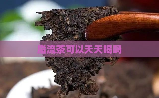 脂流茶可以天天喝吗