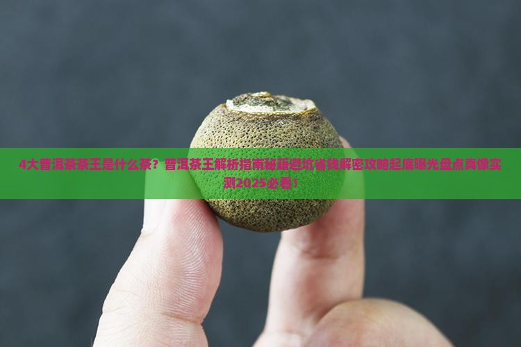4大普洱茶普洱茶茶王是什么茶