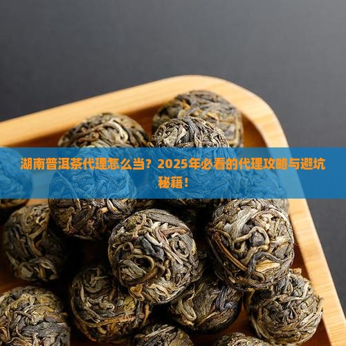 湖南普洱茶代理条件是什么