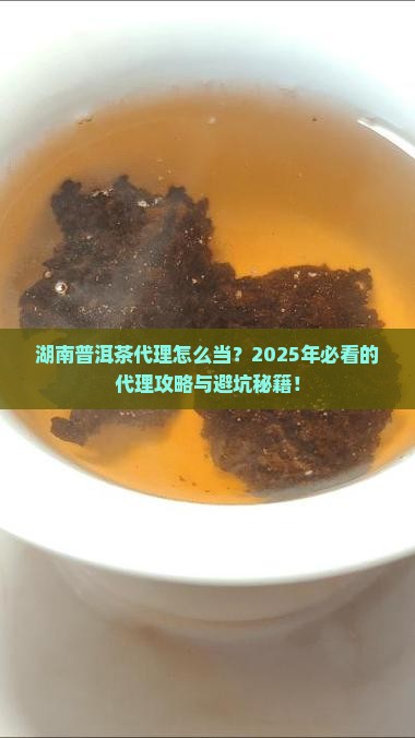 湖南普洱茶代理条件是什么