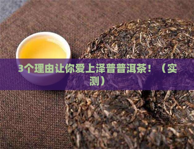 泽普普洱茶品牌