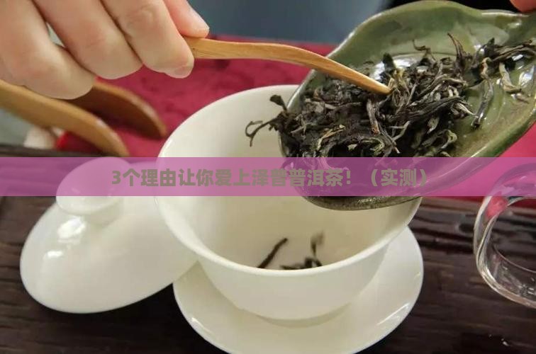泽普普洱茶品牌