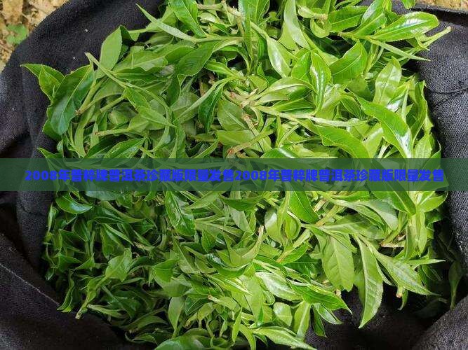 2008年普粹牌普洱茶