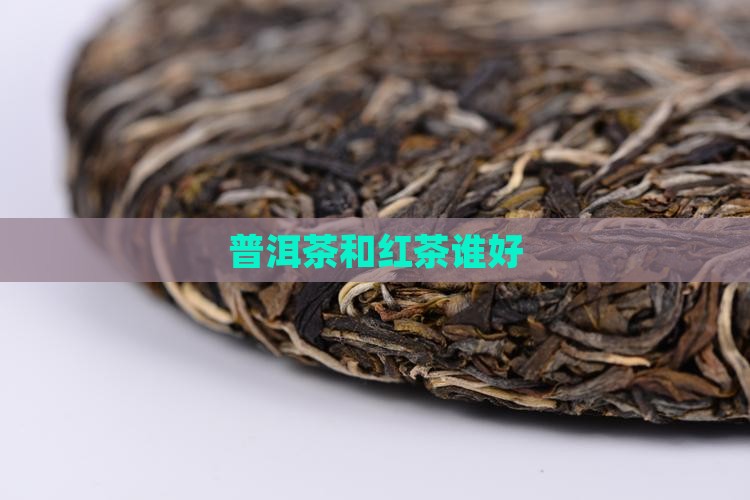 普洱茶和红茶谁好