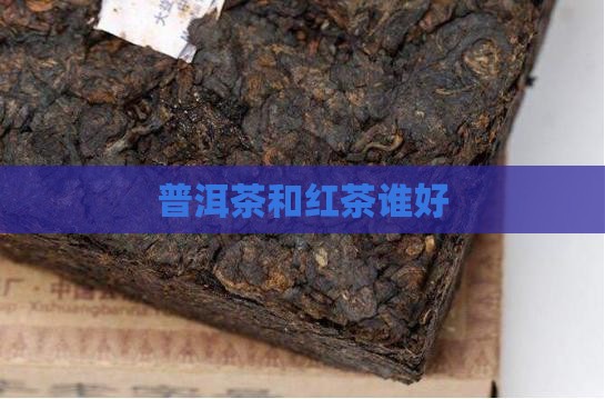 普洱茶和红茶谁好