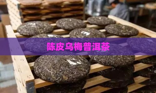 陈皮乌梅普洱茶