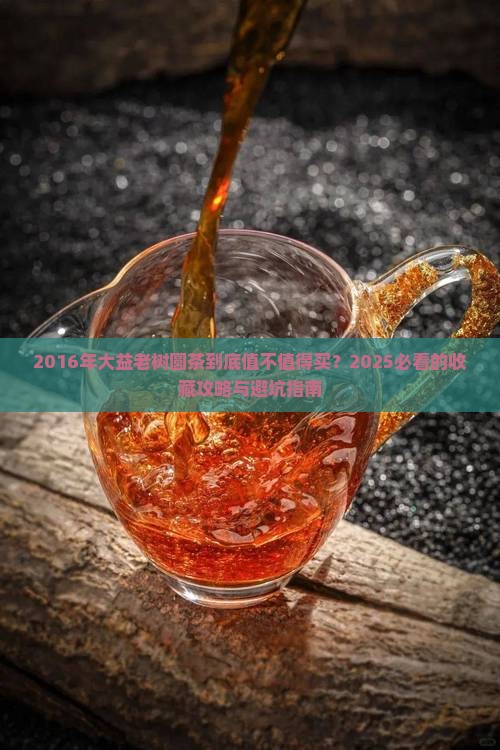 2016年大益老树圆茶