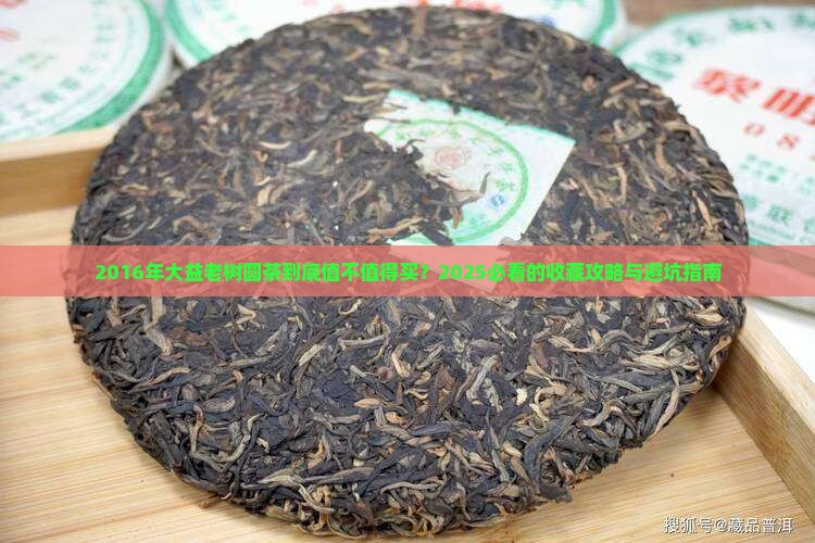 2016年大益老树圆茶