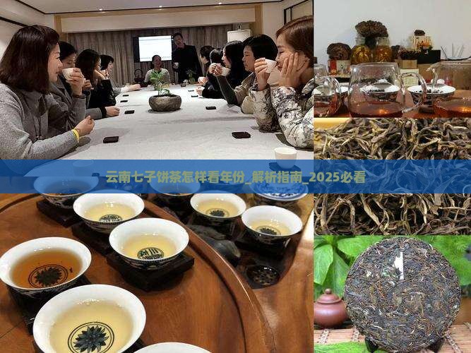 云南七子饼茶怎样看年份