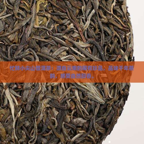 忙肺小尖山普洱茶