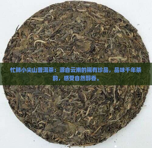 忙肺小尖山普洱茶