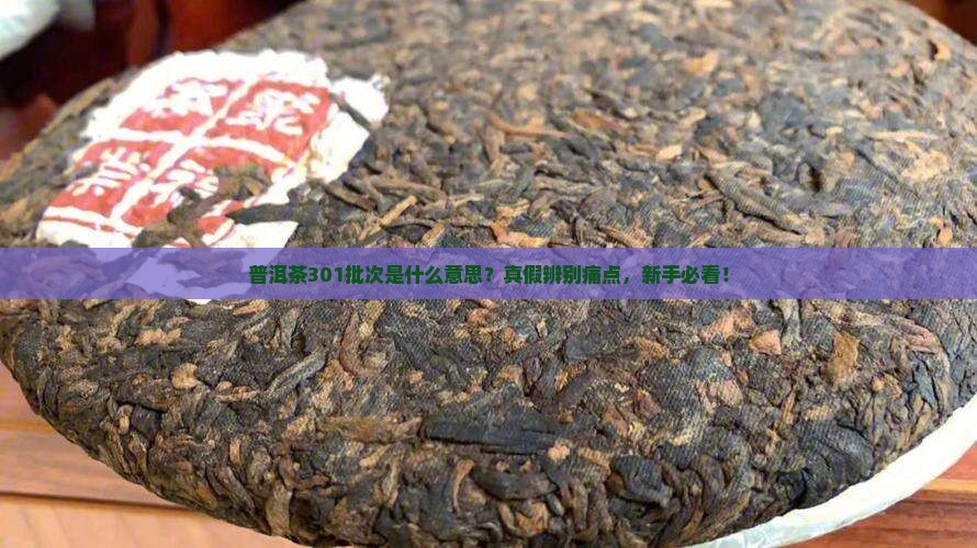 普洱茶301批次啥意思