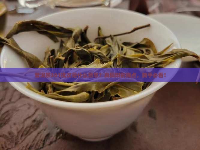 普洱茶301批次啥意思