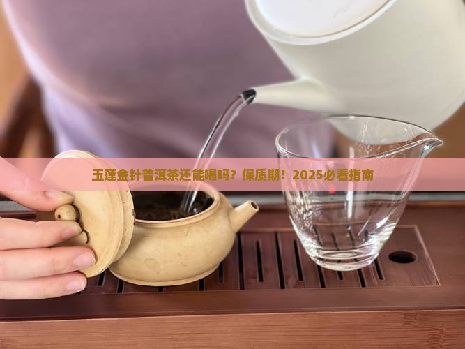 玉莲金针普洱茶的保质期
