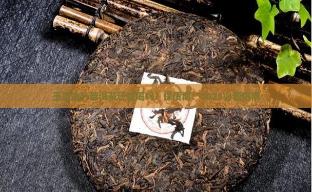 玉莲金针普洱茶的保质期