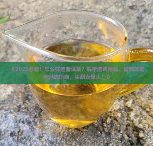 怎么样选普洱茶