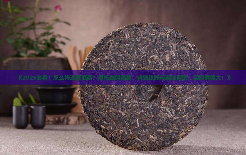 怎么样选普洱茶