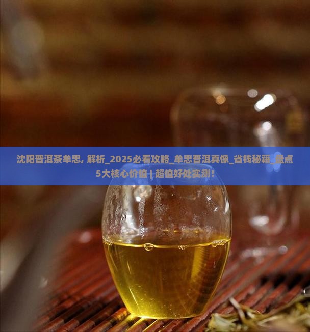 沈阳普洱茶牟忠
