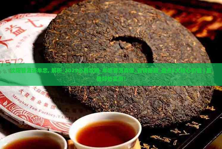 沈阳普洱茶牟忠
