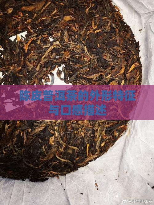 陈皮普洱茶的外形