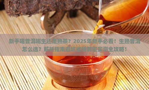 新手喝普洱喝生还是熟茶