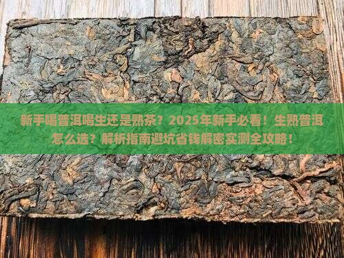 新手喝普洱喝生还是熟茶