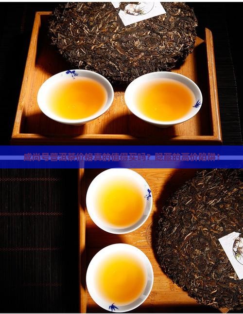 成尚号普洱茶价格