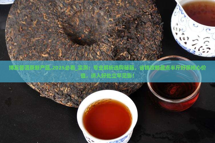博友普洱茶新产品