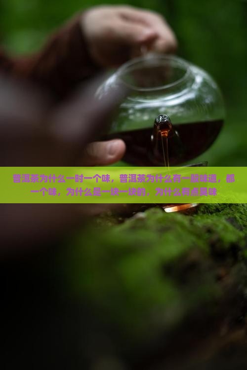 普洱茶为什么一时一个味