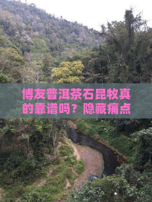 博友普洱茶石昆牧