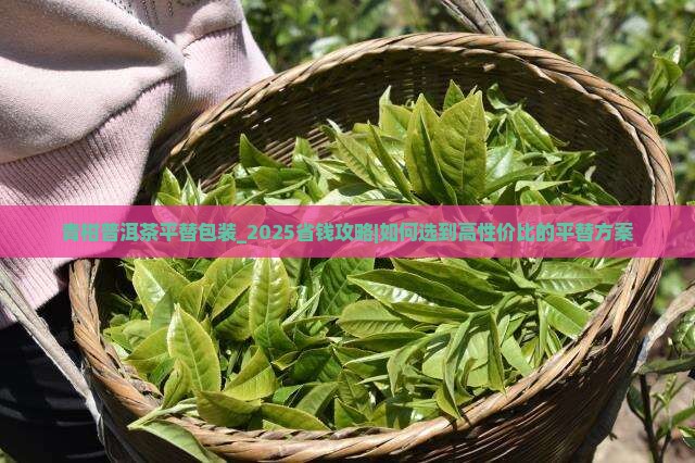 青柑普洱茶平替独立包装