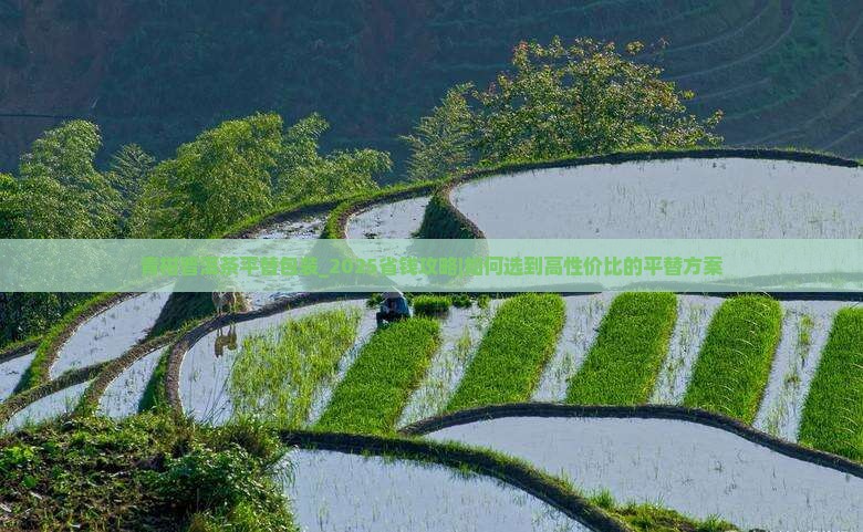青柑普洱茶平替独立包装