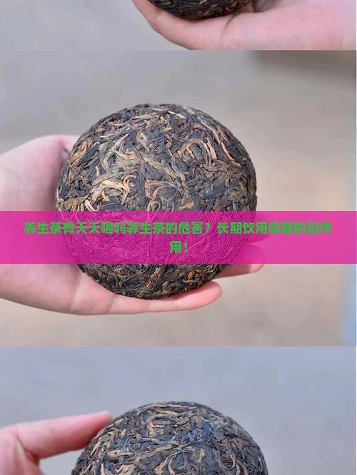 养生茶有天天喝吗养生茶的危害