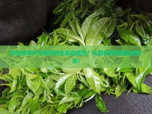 养生茶有天天喝吗养生茶的危害