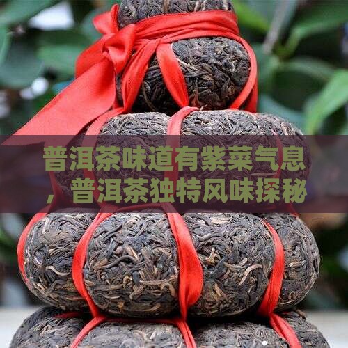 普洱茶有紫菜气味