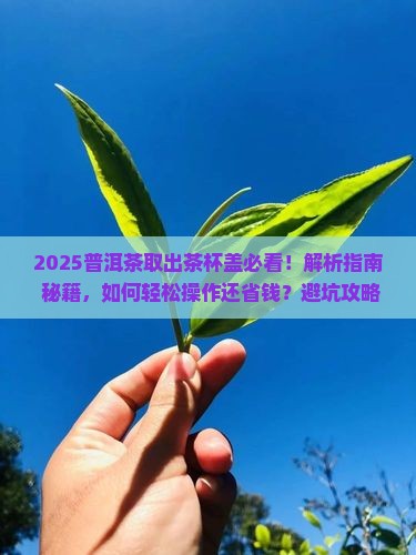 普洱茶怎么取出茶杯盖