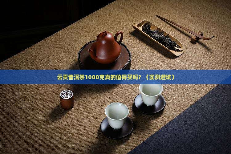 云贡普洱茶1000克