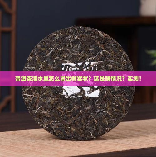 普洱茶泡了水里看有柳絮状