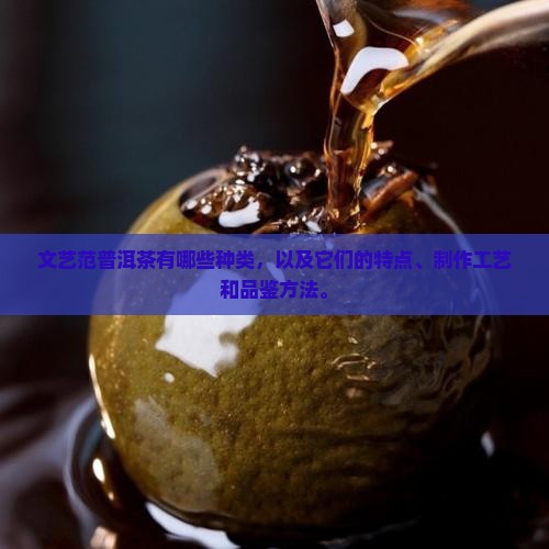 文艺范普洱茶有哪些种类